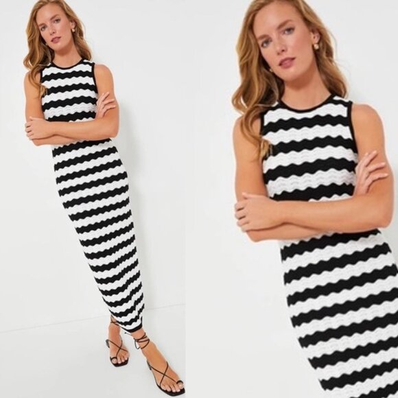 Tuckernuck Dresses & Skirts - Black White Wavy Stripe Knit Maxi Dress Wilder Tuckernuck Hyacinth XXS